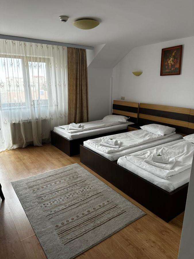 Pensiunea Andra Timisoara Exterior photo