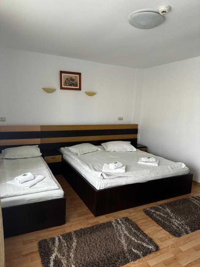 Pensiunea Andra Timisoara Exterior photo
