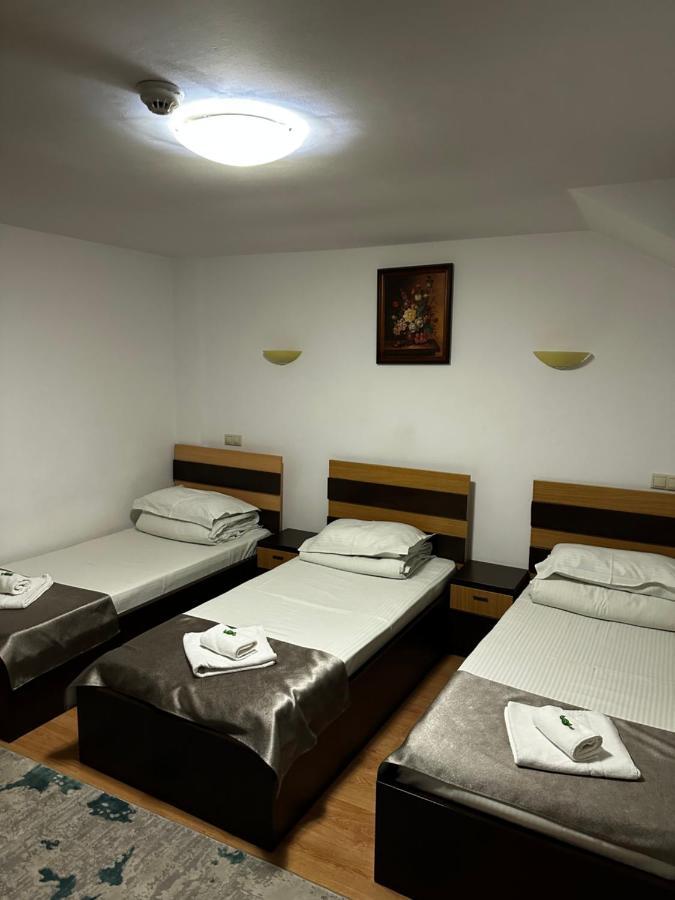 Pensiunea Andra Timisoara Exterior photo