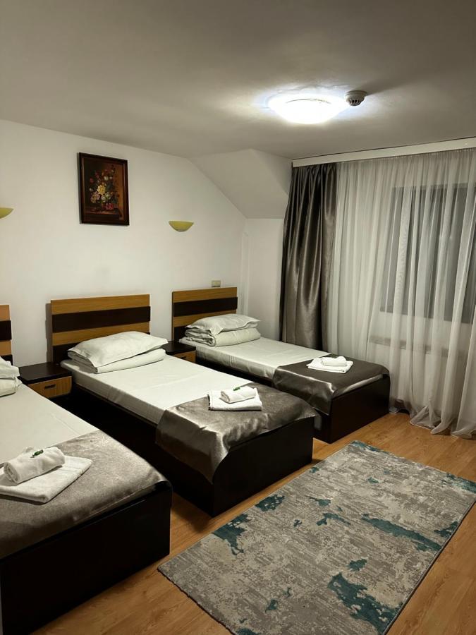 Pensiunea Andra Timisoara Exterior photo